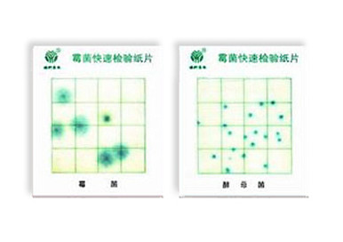 霉菌、酵母菌測試片